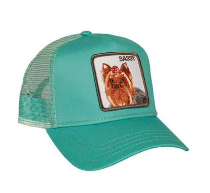 🧢 Goorin Bros - casquette trucker SASSY