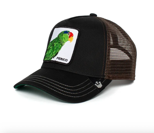 🧢 Goorin Bros - casquette trucker PERICO
